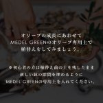 画像8: MEDEL GREEN　◆ オリーブ苗木専用　ベストミックスソイル　１L (8)