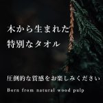 画像20: 【 最新作 】 「 繁栄の象徴シリーズ 」 MAX MATERIA feat MEDEL GREEN　◆バスタオル１枚＆オリーブ１本◆　BRANDセッション　ギフトSETBOX入り　オリーブ：底から葉先まで約25〜40cm前後に剪定済 (20)