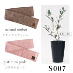 画像24: 【 最新作 】 「 繁栄の象徴シリーズ 」 MAX MATERIA feat MEDEL GREEN　◆フェイスタオル２枚＆オリーブ１本◆　BRANDセッション　ギフトSETBOX入り　オリーブ：底から葉先まで約25〜40cm前後に剪定済 (24)