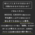 画像7: 【 最新作 】 「 繁栄の象徴シリーズ 」 MAX MATERIA feat MEDEL GREEN　◆バスタオル１枚＆オリーブ１本◆　BRANDセッション　ギフトSETBOX入り　オリーブ：底から葉先まで約25〜40cm前後に剪定済 (7)