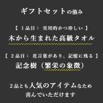 画像6: ◆ 最新作 ◆「 繁栄の象徴シリーズ 」 MAX MATERIA feat MEDEL GREEN　◆フェイス２P＆オリーブ若木 ◆ デザイン黒樹脂鉢＆ギフトBOX入り　オリーブ：底から葉先まで約25〜40cm前後に剪定済 (6)