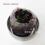 画像4: MEDEL GREEN　◆ 水だけで楽しめる　ハーブ缶 ◆　２個セット (4)