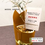 画像6: MEDEL GREEN　◆ オリーブ苗木　陶器鉢　ギフトラッピング仕様  ◆  サイズ：底から葉先まで約35〜45cm前後に剪定してお届け (6)