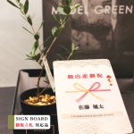 画像1: ■御祝い立札対応　MEDEL GREEN　◆ オリーブ苗木　黒プラ樹脂鉢　専用ギフトBOX仕様  ◆ BOX約高：40cm　オリーブ：底から葉先まで約25〜40cm前後に剪定済 (1)